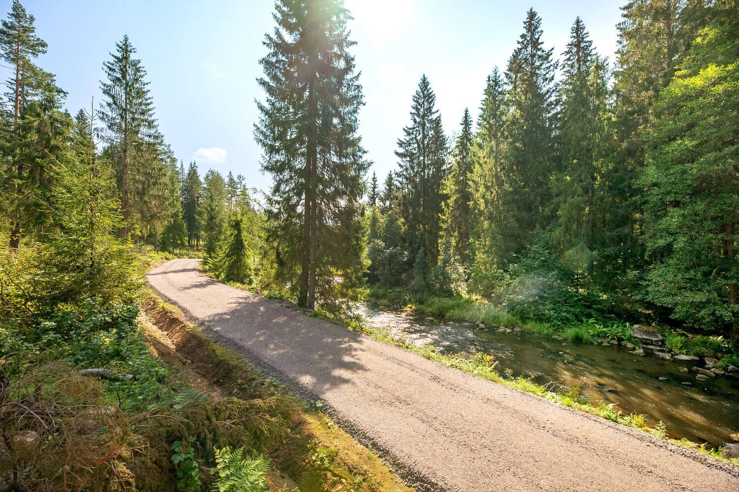Irv 0549 hdr