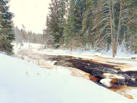 Photo1701342536 (1)