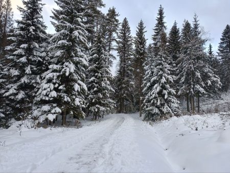 Photo 2023 11 30 14 08 44