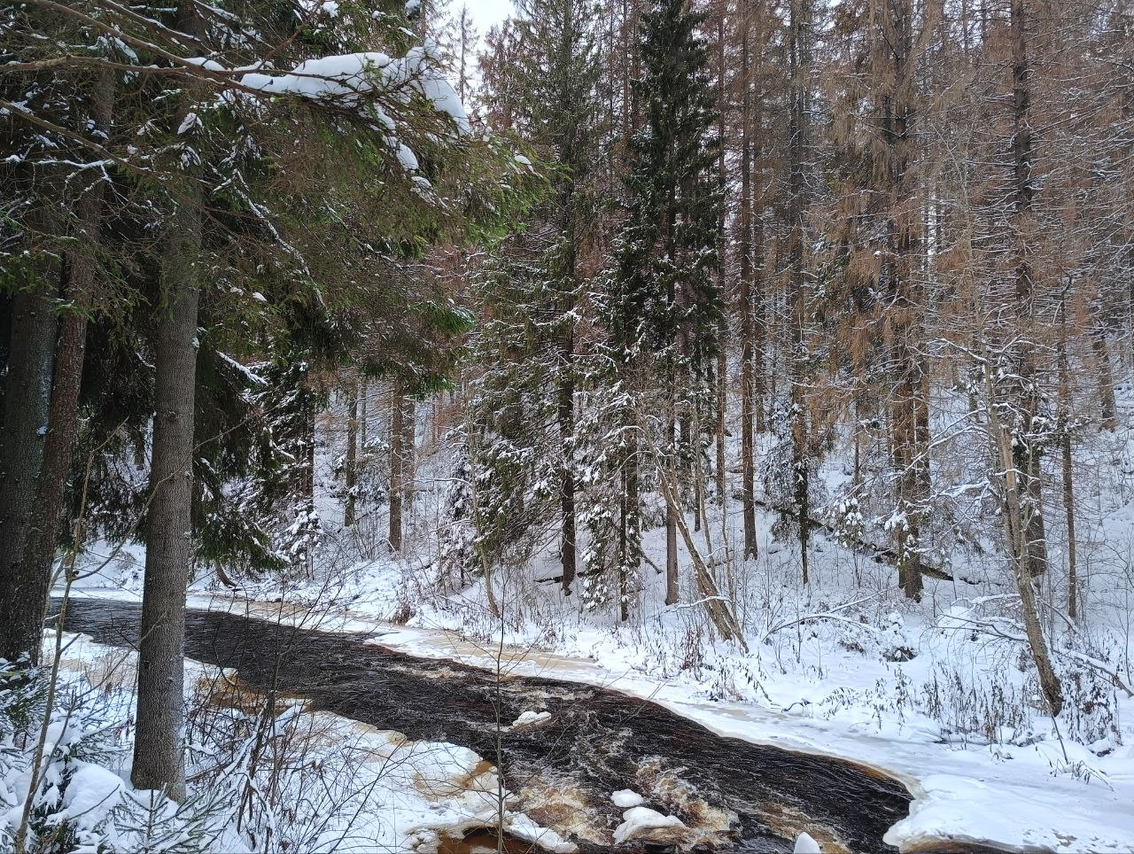 Photo 2023 11 30 14 08 48