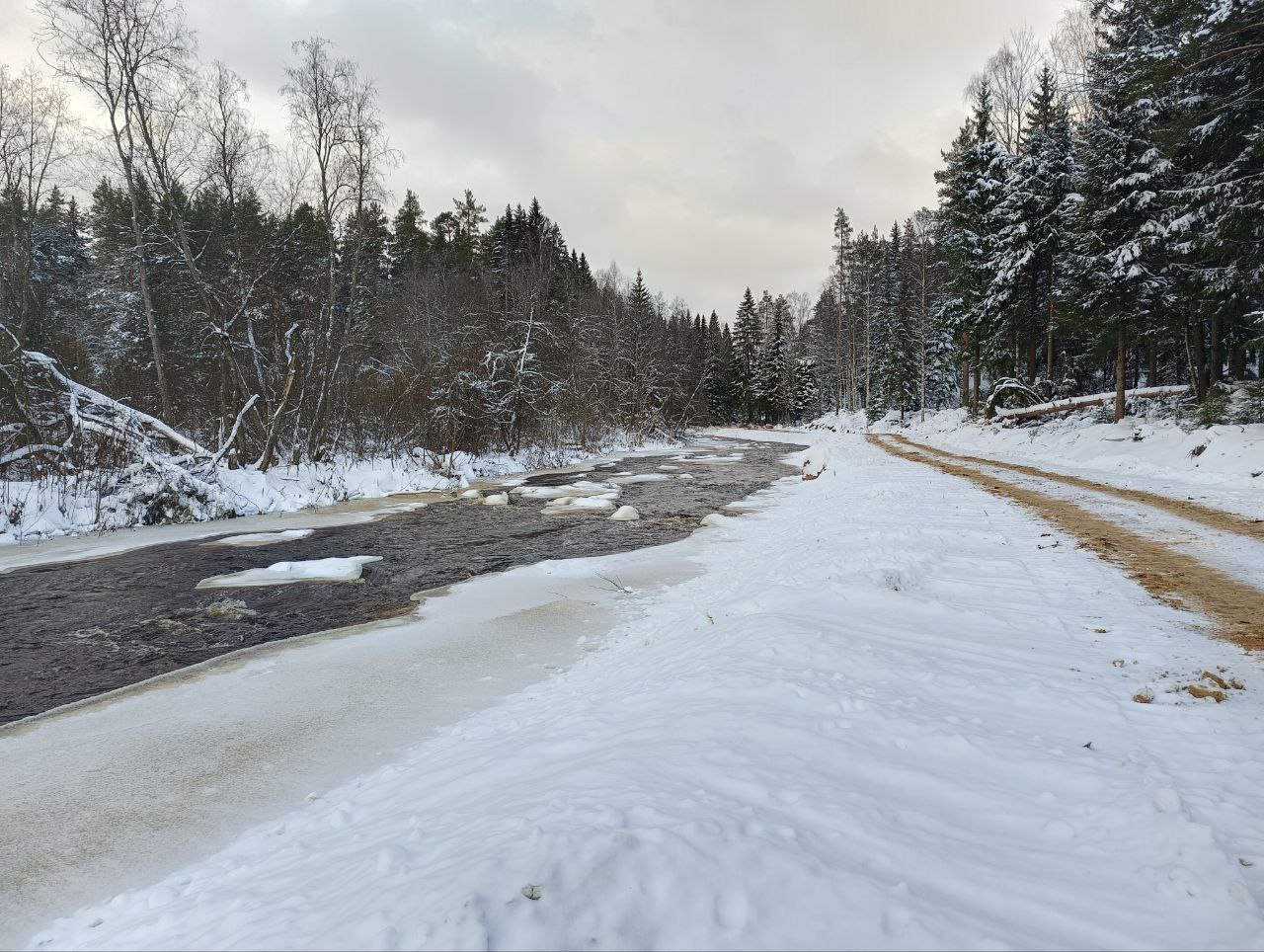Photo 2023 11 30 14 09 03