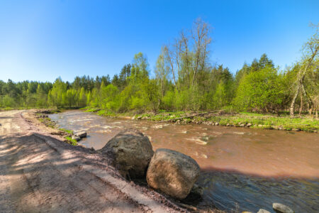 Irv 1109 hdr